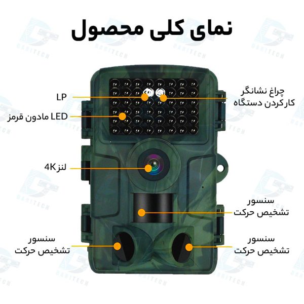 بندانگشتی