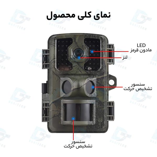 بندانگشتی